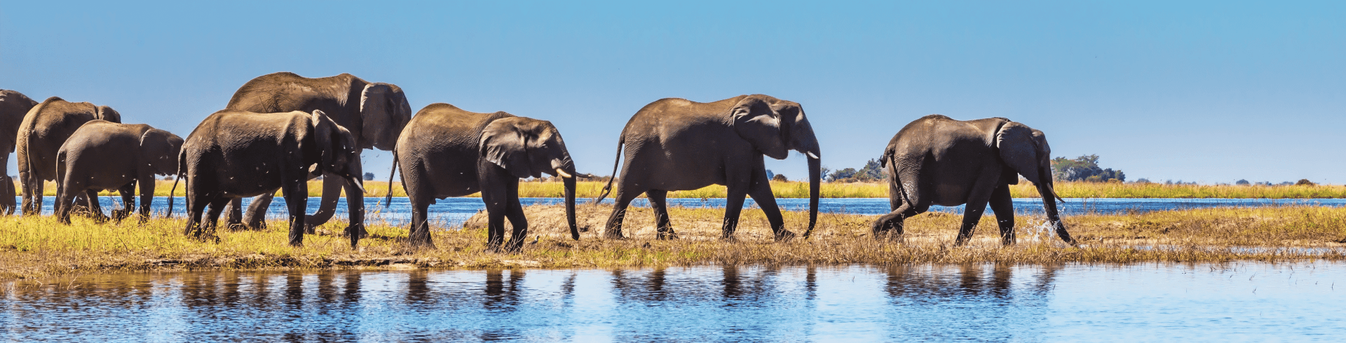 Essências da África Austral - Zimbábue & África do Sul