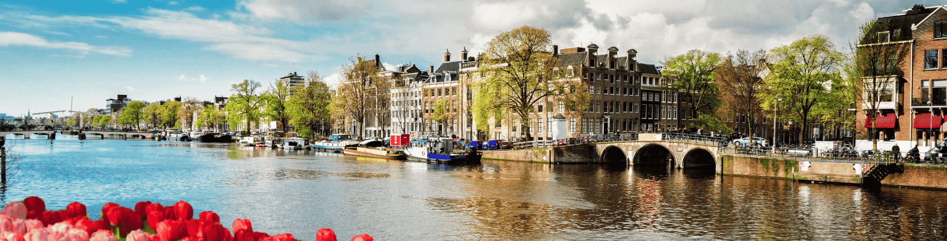 Holanda Florida com Bélgica e França